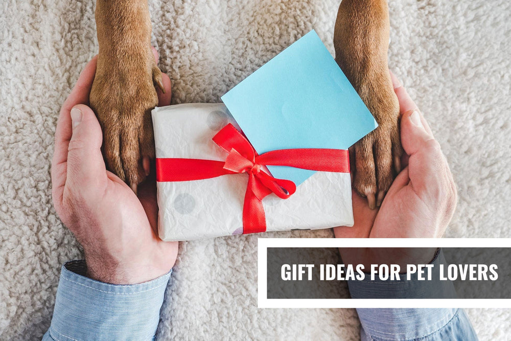 Gift Ideas for Pet Lovers