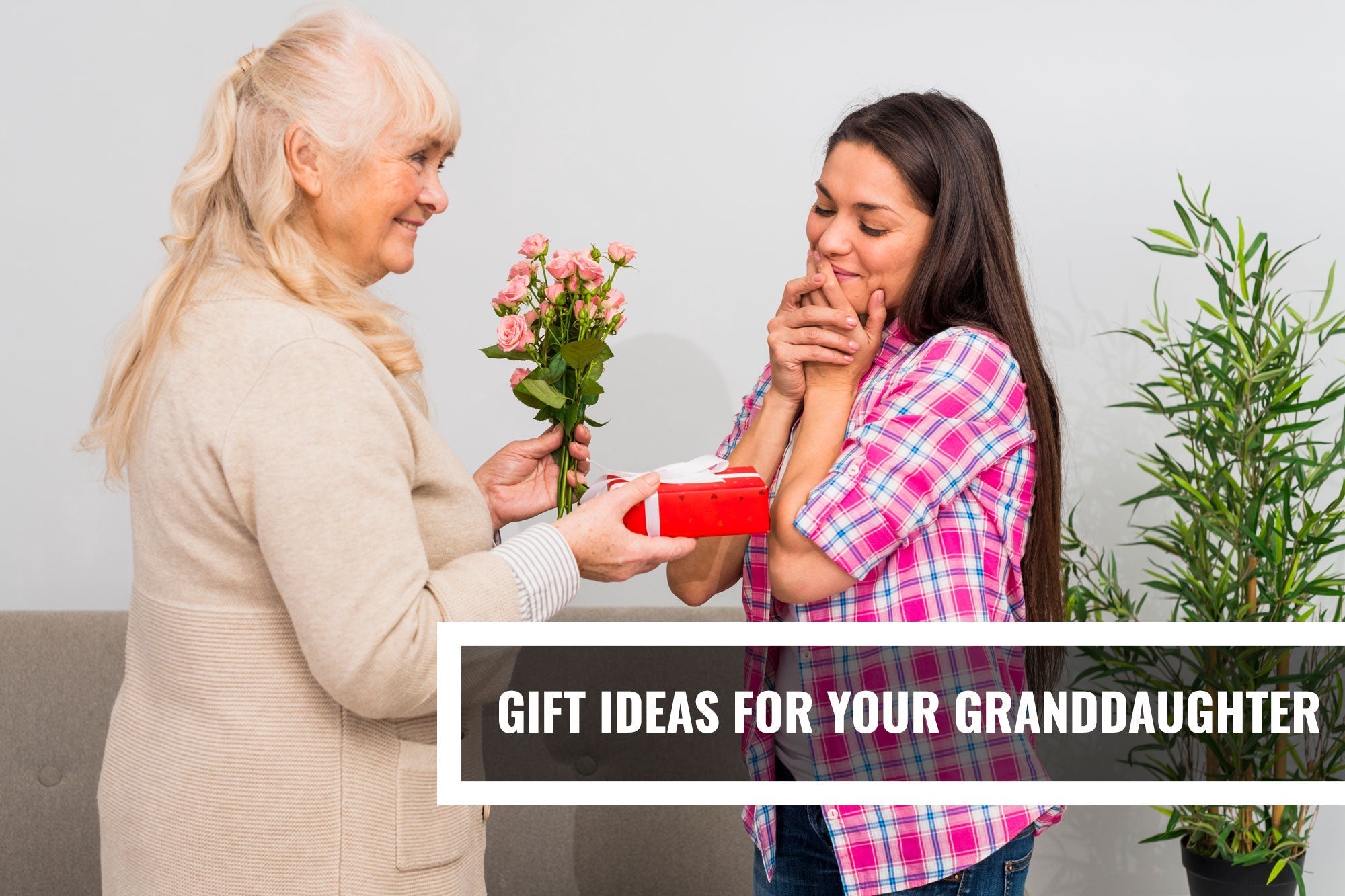 Gift Ideas for Your Granddaughter
