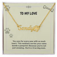 Load image into Gallery viewer, Custom Paw Print Name Necklace WIth Message
