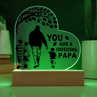 Load image into Gallery viewer, YOU are a professional PAPA - Acrylic Heart Night Light
